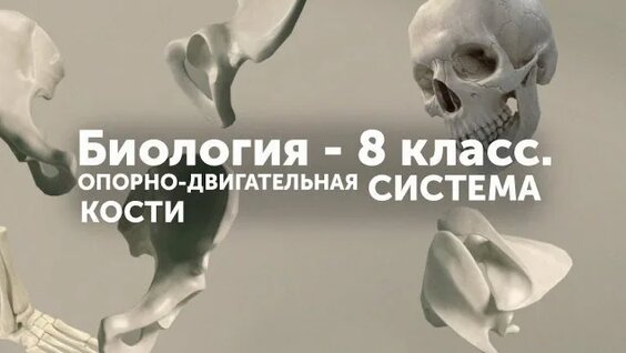 2517 Rutube