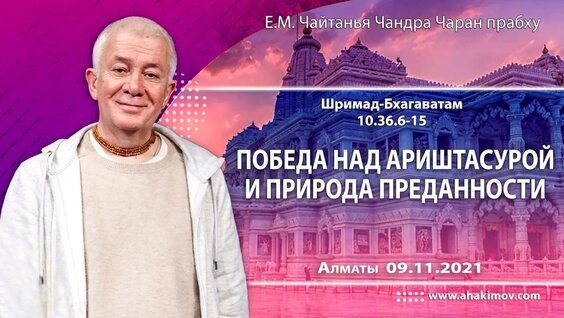 2517 VK Видео