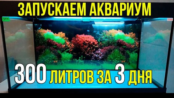 Аквариум Rutube