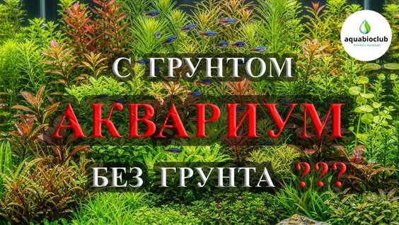 Аквариум Rutube