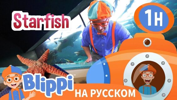 Аквариум VK Видео