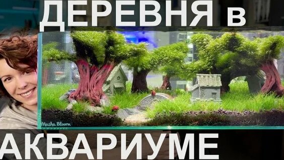 Аквариум Rutube