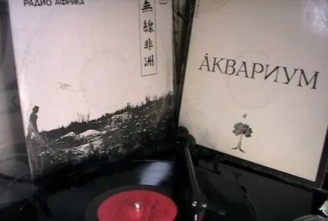 Аквариум Rutube