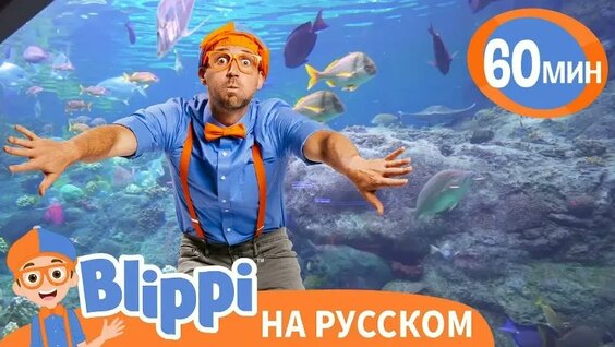 Аквариум VK Видео