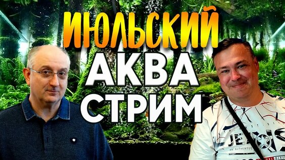 Аквариум YouTube