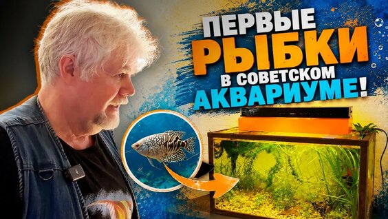 Аквариум YouTube