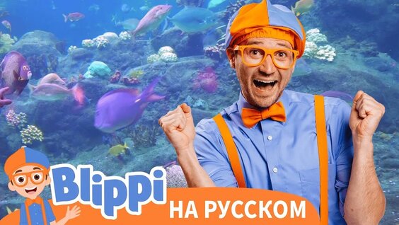 Аквариум VK Видео