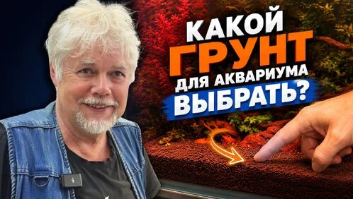 Аквариум Дзен