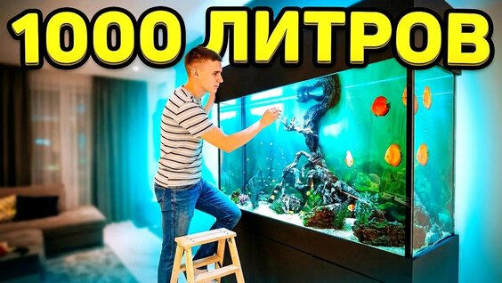Аквариум Rutube