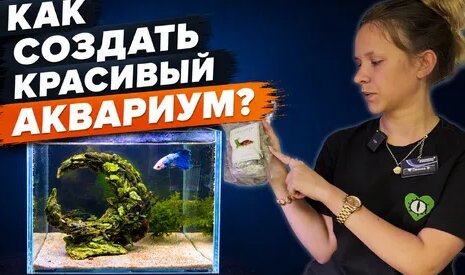 Аквариум Дзен