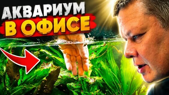 Аквариум VK Видео