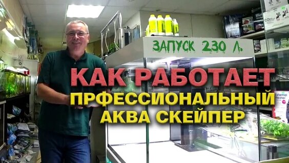 Аквариум VK Видео