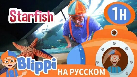 Аквариум Rutube