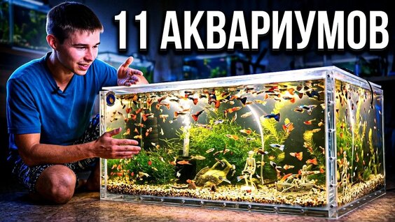 Аквариум Rutube