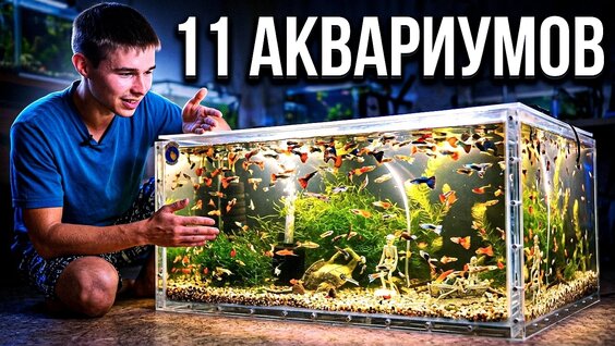 Аквариум VK Видео