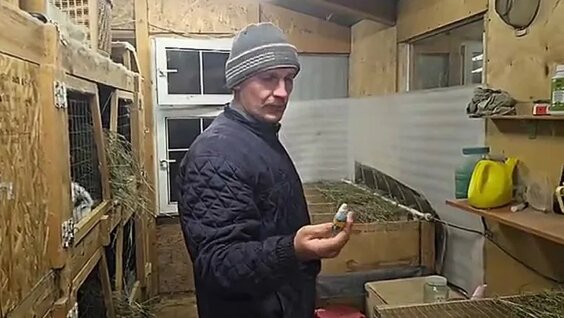 Александр Александров VK Видео