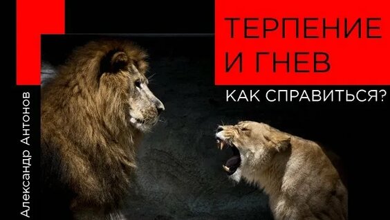 Александр Антонов Rutube