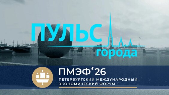 Александр Беглов Rutube