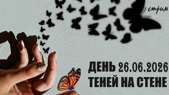 Александр Дейнеко VK Видео