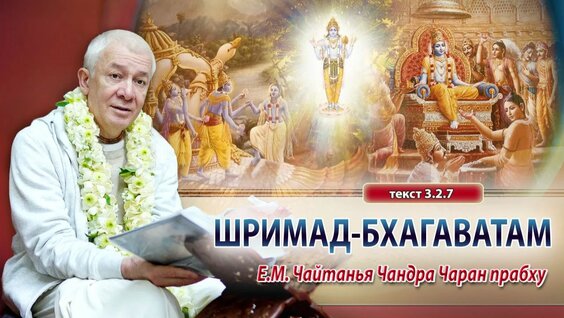 Александр Хакимов Rutube