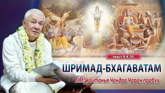 Александр Хакимов Rutube