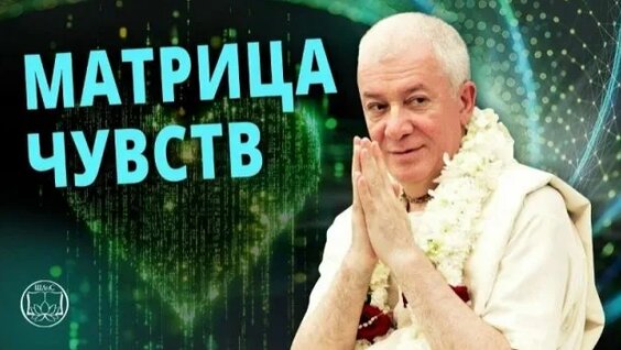 Александр Хакимов Rutube
