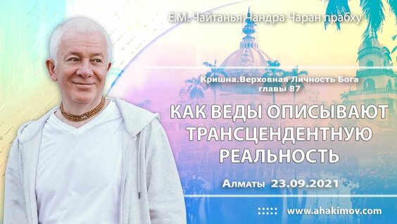 Александр Хакимов 2 недели назад