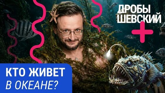 Александр Кокорин VK Видео