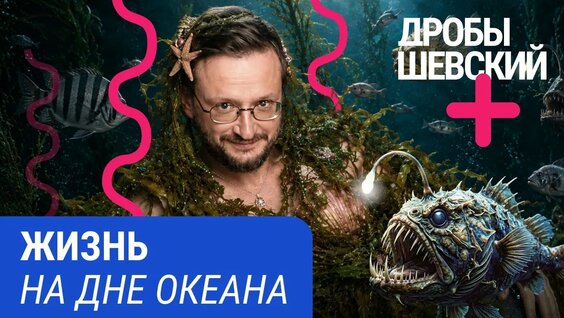 Александр Кокорин YouTube