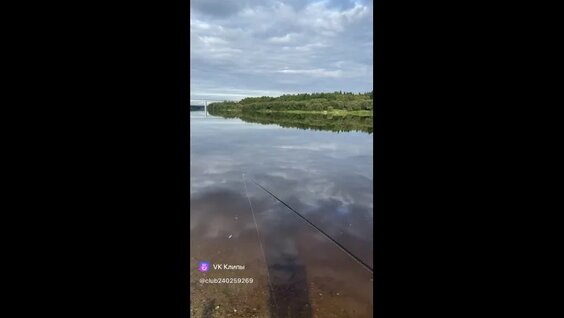 Александр Козлов VK Видео
