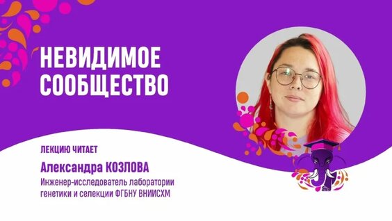 Александр Козлов VK Видео