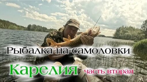 Александр Кузнецов Дзен