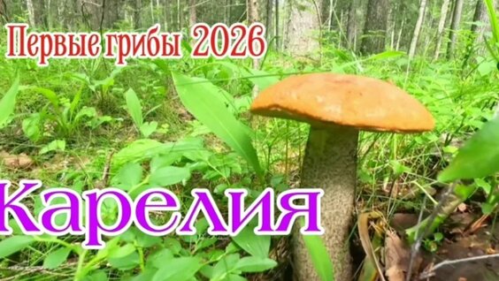 Александр Кузнецов VK Видео