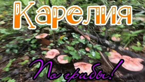 Александр Кузнецов VK Видео