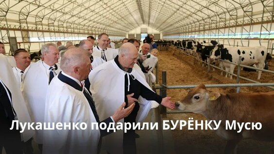 Александр Лукашенко VK Видео