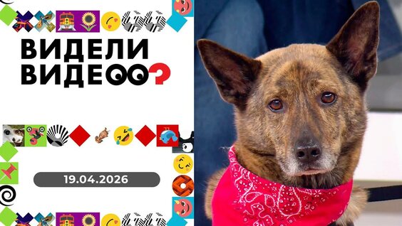 Александр Мадич Mail.ru