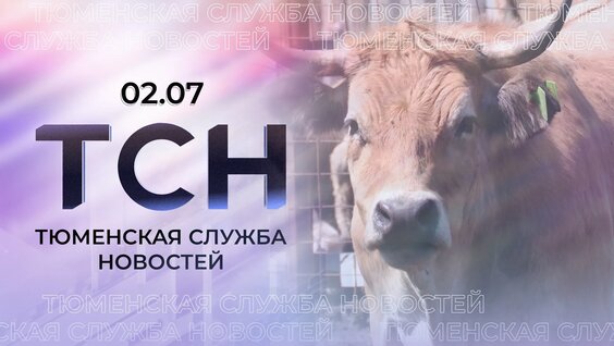 Александр Моор VK Видео
