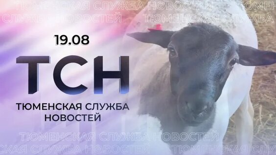 Александр Моор VK Видео