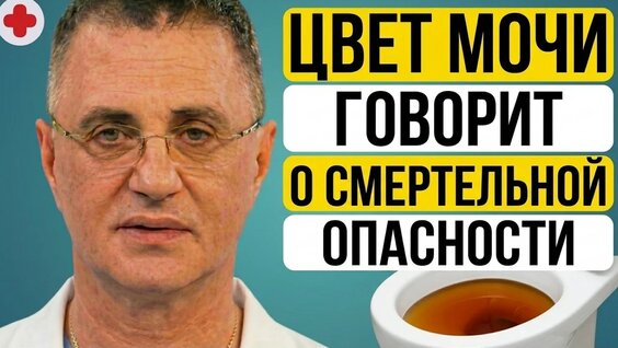 Александр Мясников YouTube