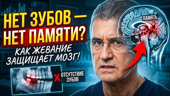 Александр Мясников YouTube