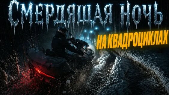 Александр Николаев VK Видео