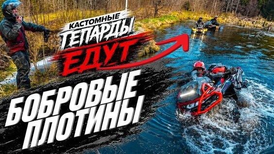 Александр Николаев YouTube