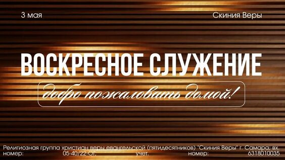 Александр Николаев VK Видео