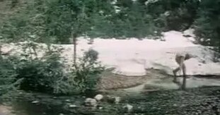 Александр Новиков Mail.ru