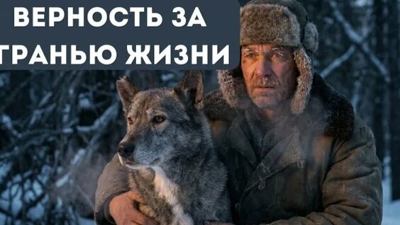 Александр Новиков Rutube