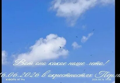 Александр Овечкин Дзен