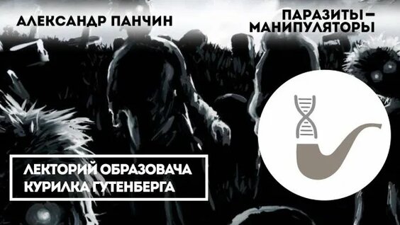 Александр Панчин Rutube
