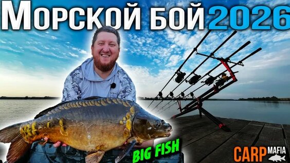 Александр Попов VK Видео