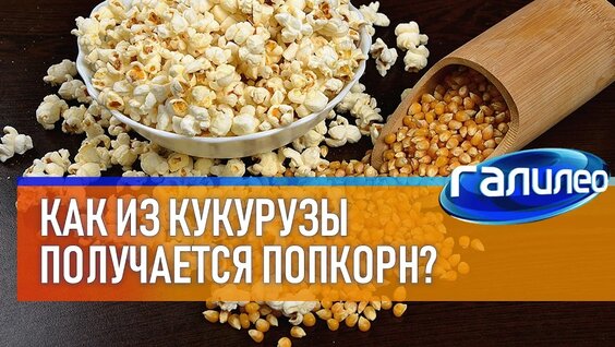 Александр Пушной YouTube