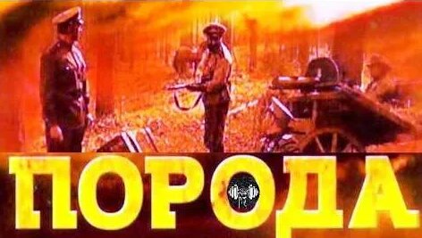 Александр Робак YouTube